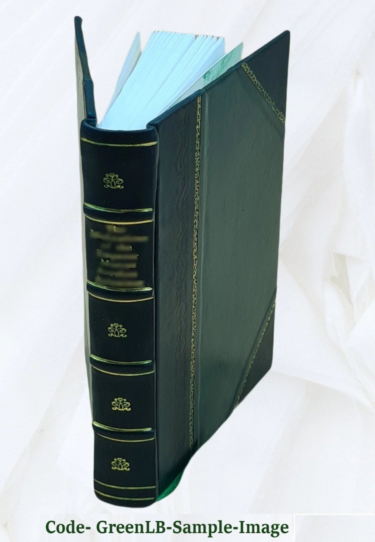 Leather Bound Illustrated Nouvelles E309988
