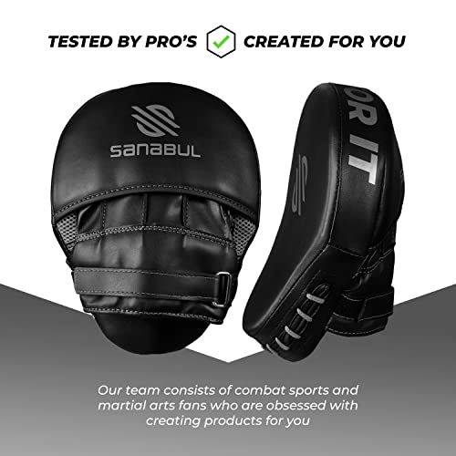 Curved Punching Mitts for Boxing M4898