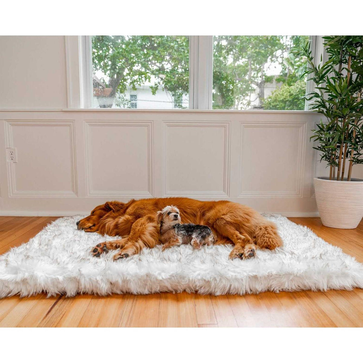 Faux Fur Orthopedic Dog Bed P3106