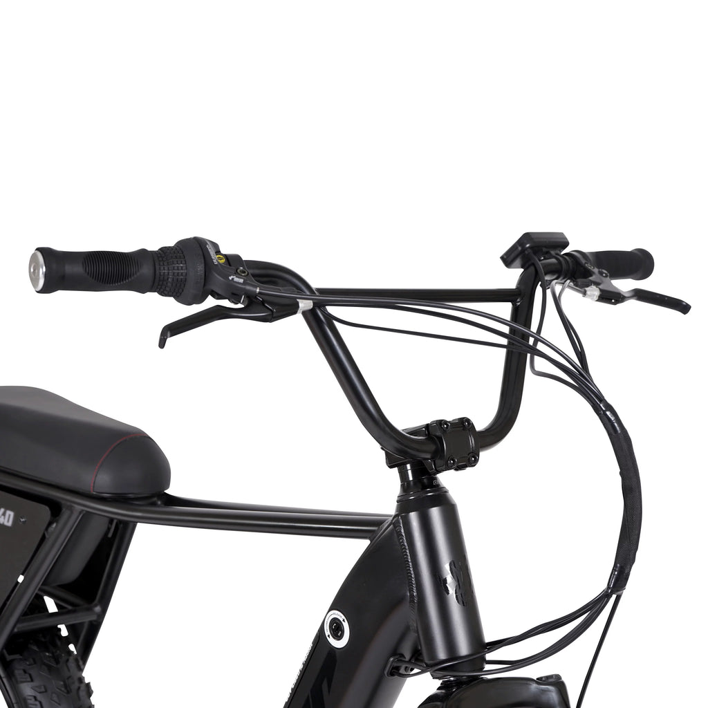 20 36V 250W Electric Bike Matte Black L4147